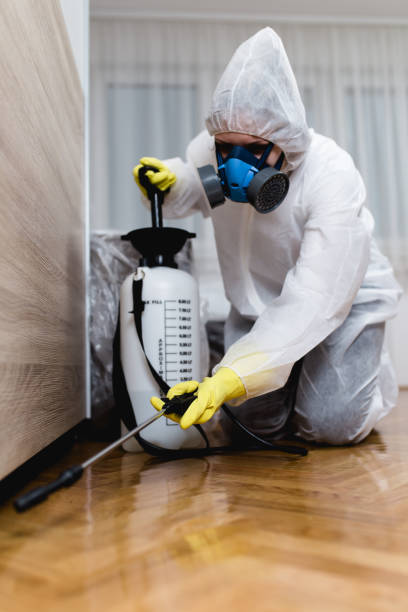 Reliable Gainesville, GA Pest control Solutions